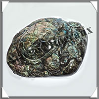 TORTUES (Mre et 5 Petits) - LABRADORITE - 230x180x55 mm - 2175 grammes - A003