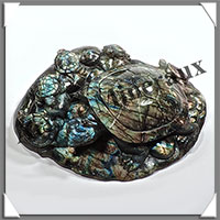 TORTUES (Mre et 5 Petits) - LABRADORITE - 230x180x55 mm - 2175 grammes - A003