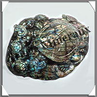 TORTUES (Mre et 5 Petits) - LABRADORITE - 230x180x55 mm - 2175 grammes - A003