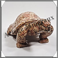 TORTUE - LEOPARDITE (Jaspe Lopard) - 130x90x65 mm - 595 grammes - A001