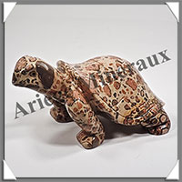 TORTUE - LEOPARDITE (Jaspe Lopard) - 130x90x65 mm - 595 grammes - A001