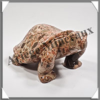 TORTUE - LEOPARDITE (Jaspe Lopard) - 130x85x65 mm - 595 grammes - A002
