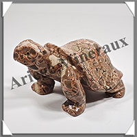 TORTUE - LEOPARDITE (Jaspe Lopard) - 130x85x65 mm - 595 grammes - A002
