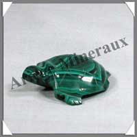 TORTUE - MALACHITE - 55 mm - 40 grammes - P003
