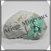 TORTUE - VARISCITE - 65x35x35 mm - 124 grammes - A001