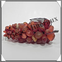 CORNALINE - Grappe de Raisin - Taille 3 - 120 mm - 205 grammes - M003