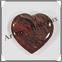 BOIS FOSSILE - Coeur - 20 grammes - 40x39x9 mm - R001