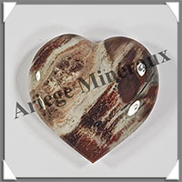 BOIS FOSSILE - Coeur - 27 grammes - 42x41x13 mm - R003
