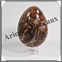 AMMONITE FOSSILE - Oeuf - 74x53 mm - 280 grammes - Y001