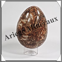 AMMONITE FOSSILE - Oeuf - 74x53 mm - 280 grammes - Y001