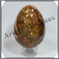 AMMONITE FOSSILE - Oeuf - 88 mm - 480 grammes - R002