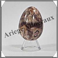 AMMONITE FOSSILE - Oeuf - 55 mm - 121 grammes - R003