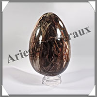 BOIS FOSSILE - Oeuf - 180x120 mm - 3 540 grammes - Y002