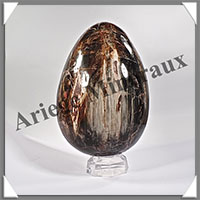 BOIS FOSSILE - Oeuf - 180x120 mm - 3 540 grammes - Y002
