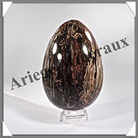 BOIS FOSSILE - Oeuf - 180x120 mm - 3 540 grammes - Y002