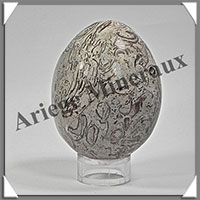 FOSSILE - Oeuf - 65x50 mm - 234 grammes - M001