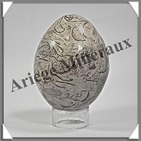 FOSSILE - Oeuf - 65x50 mm - 220 grammes - M002