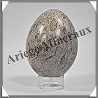 FOSSILE - Oeuf - 65x50 mm - 225 grammes - M003