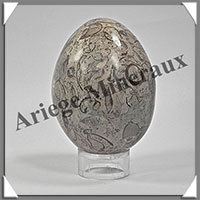 FOSSILE - Oeuf - 65x50 mm - 225 grammes - M003