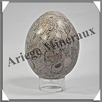 FOSSILE - Oeuf - 65x50 mm - 245 grammes - M004