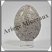 FOSSILE - Oeuf - 65x50 mm - 225 grammes - M005