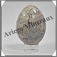 FOSSILE - Oeuf - 65x50 mm - 225 grammes - M005