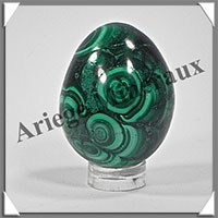 MALACHITE - Oeuf - 40 mm - 77 grammes - P017