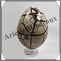SEPTARIA - Oeuf - 210x145 mm - 4 830 grammes - Y001