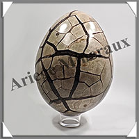 SEPTARIA - Oeuf - 210x145 mm - 4 830 grammes - Y001