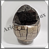 SEPTARIA - Oeuf - 210x145 mm - 4 830 grammes - Y001