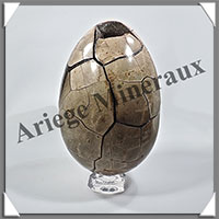 SEPTARIA - Oeuf - 220x140 mm - 5 200 grammes - Y003