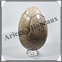 SEPTARIA - Oeuf - 220x140 mm - 5 200 grammes - Y003