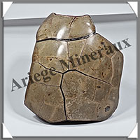 SEPTARIA - Oeuf - 220x140 mm - 5 200 grammes - Y003