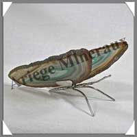 AGATE VERTE - Papillon (Taille 1) - 85x35 mm - 48 grammes - M011