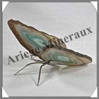 AGATE VERTE - Papillon (Taille 1) - 85x35 mm - 48 grammes - M011