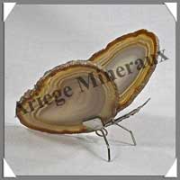 AGATE MARRON - Papillon (Taille 2) - 90x45 mm - 59 grammes - M011
