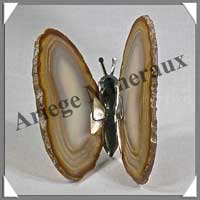 AGATE MARRON - Papillon (Taille 2) - 90x45 mm - 59 grammes - M011