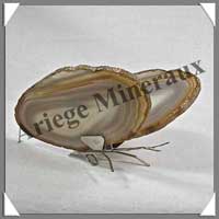 AGATE MARRON - Papillon (Taille 2) - 85x40 mm - 56 grammes - M012