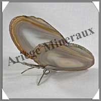 AGATE MARRON - Papillon (Taille 2) - 85x40 mm - 56 grammes - M012