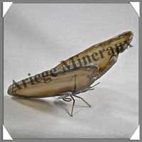 AGATE MARRON - Papillon (Taille 3) - 125x45 mm - 90 grammes - M002