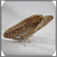 AGATE MARRON - Papillon (Taille 3) - 125x40 mm - 75 grammes - M003