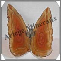 AGATE MARRON - Papillon (Taille 3) - 125x45 mm - 78 grammes - M010
