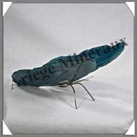 AGATE VERTE - Papillon (Taille 3) - 130x45 mm - 74 grammes - M010