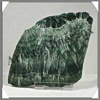 SERAPHINITE - PLAQUE Polie - 110x75x10 mmm - 100 grammes - C002