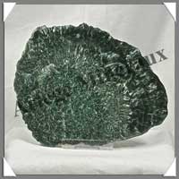 SERAPHINITE - PLAQUE Polie - 120x100x10 mmm - 210 grammes - C009
