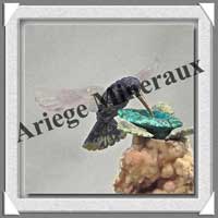 COLIBRI sur FLEUR (Corps en SODALITE) - 175 mm - A001