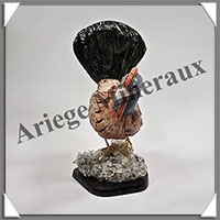 DINDON (Corps en LEOPARDITE) - 145x120x75 mm - A004