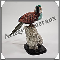 PERROQUET ROUGE (Corps en JASPE ROUGE) - 130x120x100 mm - A005