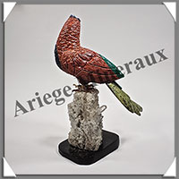 PERROQUET ROUGE (Corps en JASPE ROUGE) - 150x110x85 mm - A006