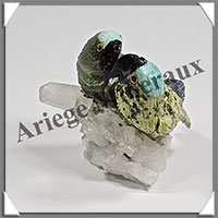 PERROQUETS Couple - Socle QUARTZ - 65x55x50 - A006
